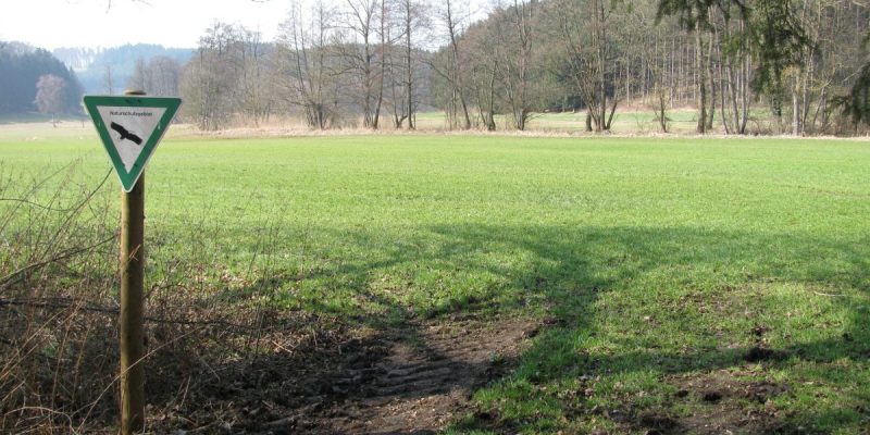 Knellesberger Moos