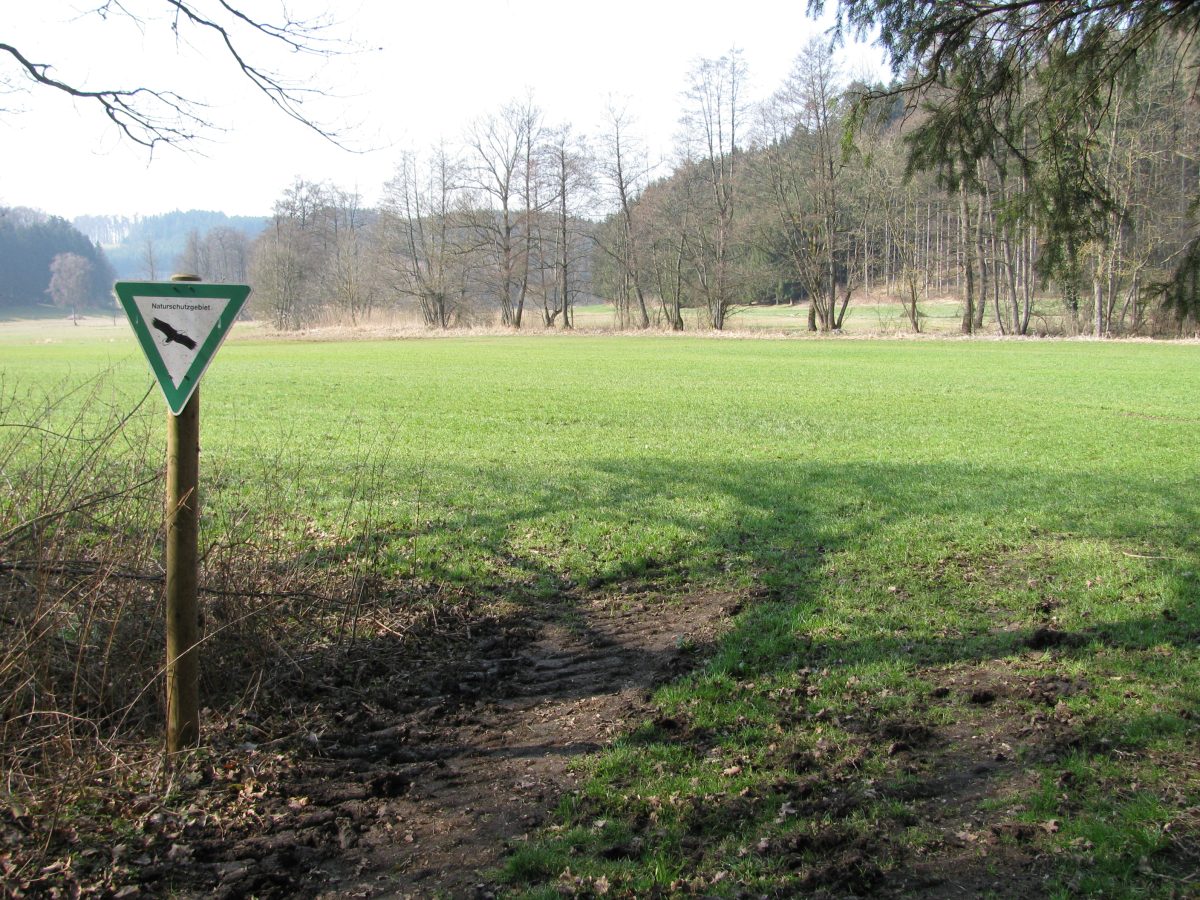 Knellesberger Moos