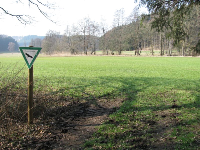 Knellesberger Moos