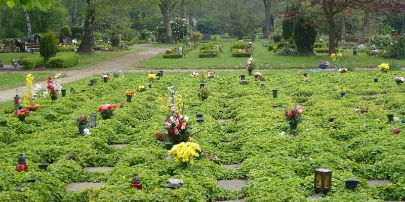 Stelenpark 500 Jahre Bauernkrieg