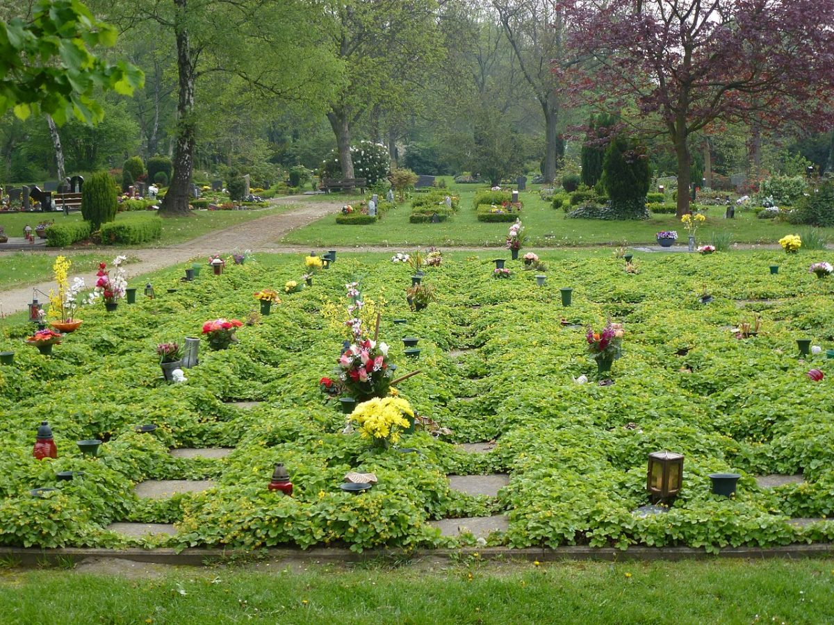 Stelenpark 500 Jahre Bauernkrieg