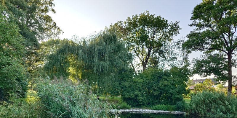 Charlotte-Brandis-Park