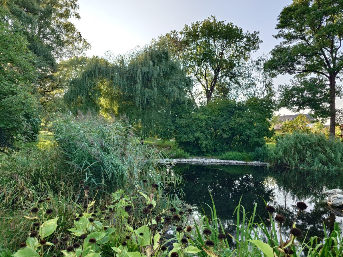 Charlotte-Brandis-Park
