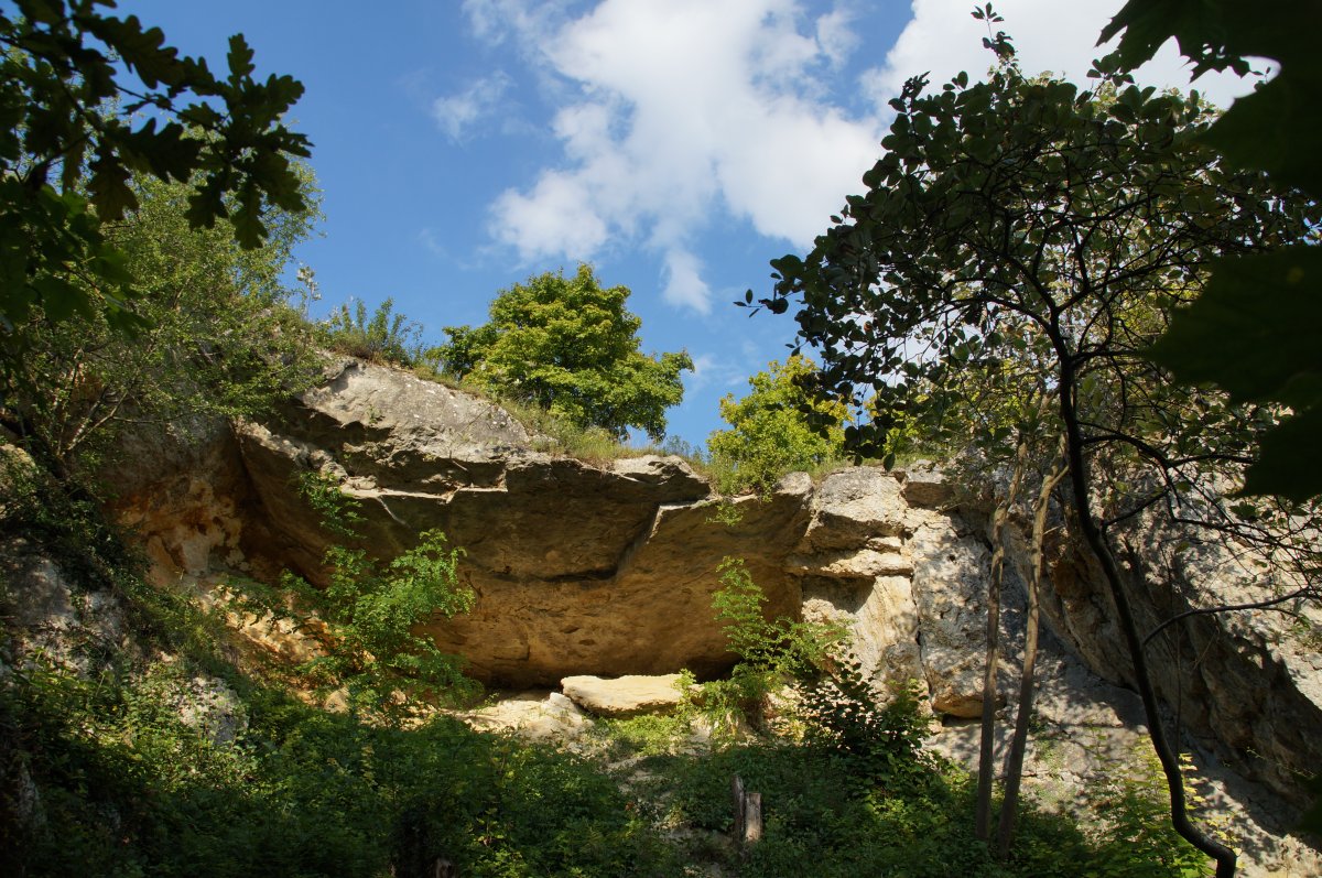 Max-Schultze-Steig