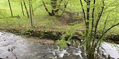 Diepmannsbachtal und Seitenbäche
