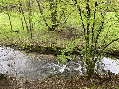 Diepmannsbachtal und Seitenbäche