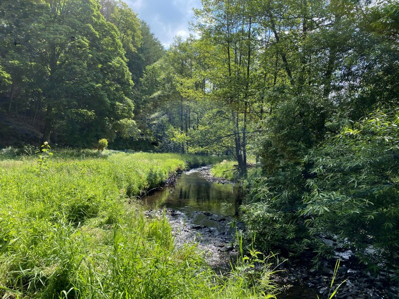 Eschbachtal