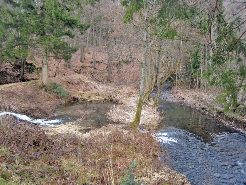 Eschbachtal (Süd 1)