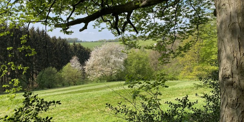 Farrenbracker Bachtal