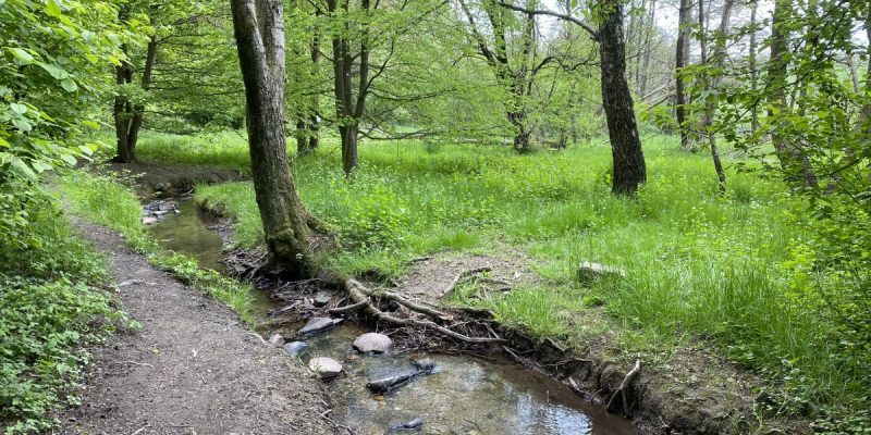 Kleebachtal