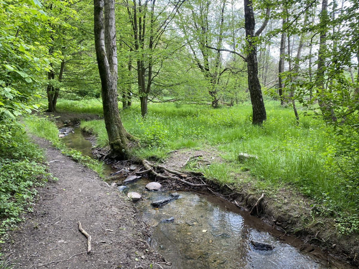 Kleebachtal