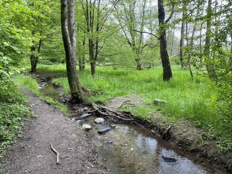 Kleebachtal