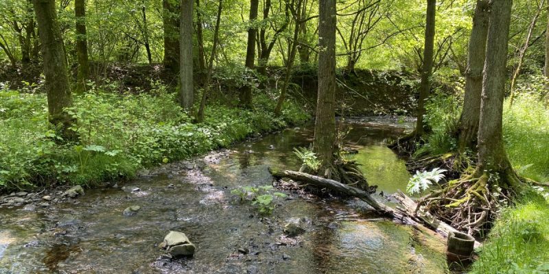Leyerbachtal