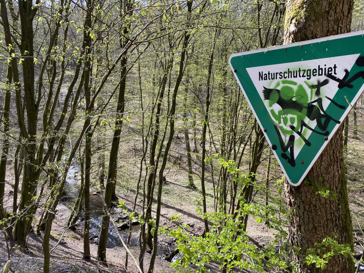 Lobach