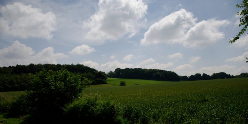 Oberlauf Marscheider Bachtal