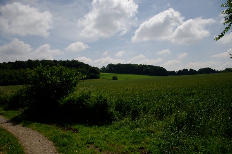 Oberlauf Marscheider Bachtal