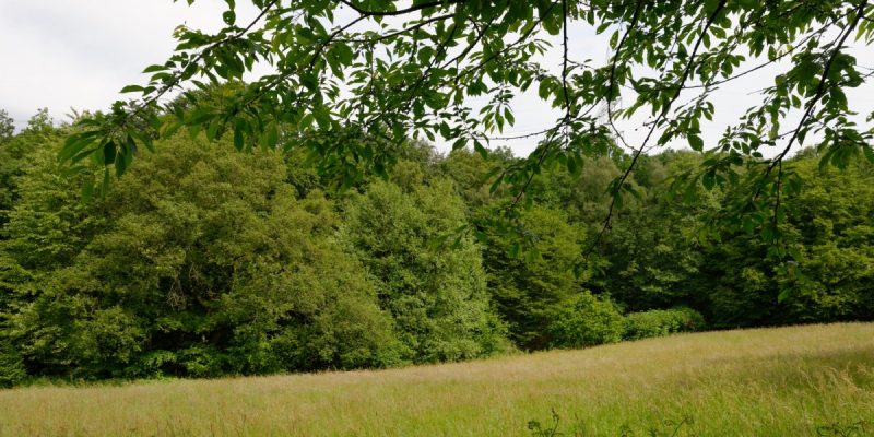 Oelingrather und Grunder Bachtal
