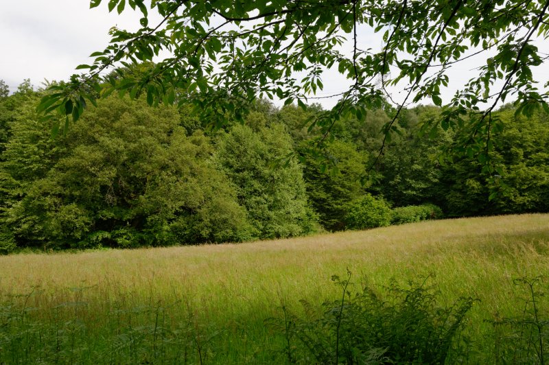 Oelingrather und Grunder Bachtal
