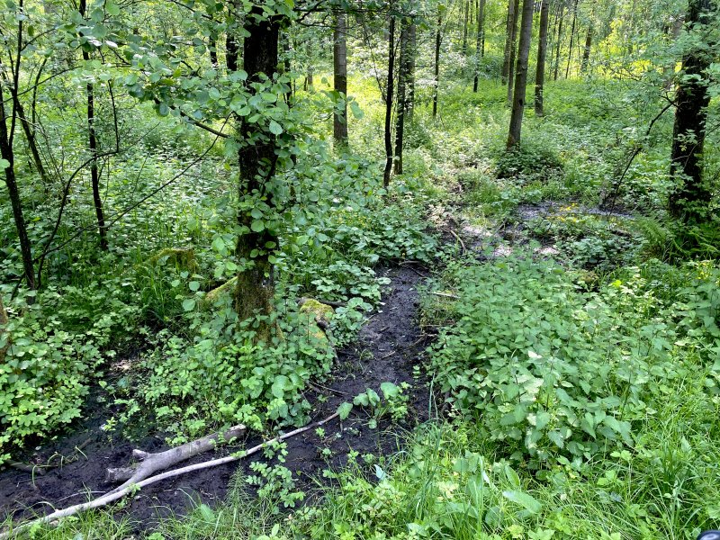 Panzertal