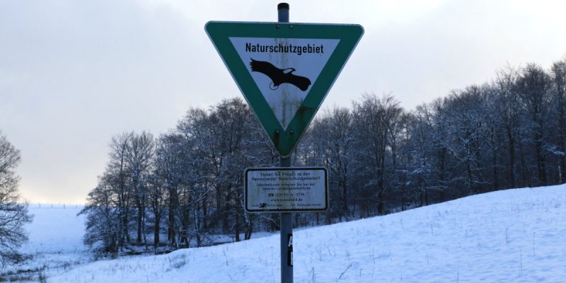 Schneppendahler Siepen
