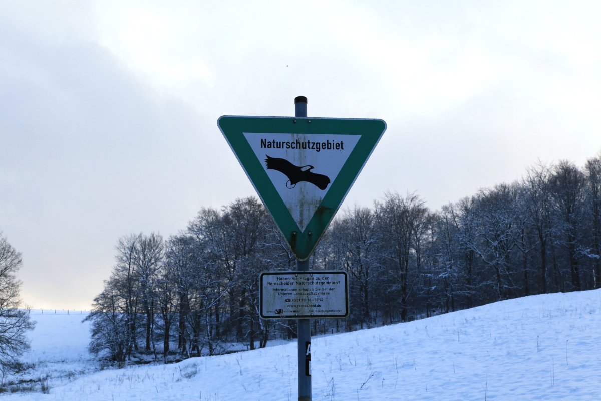 Schneppendahler Siepen