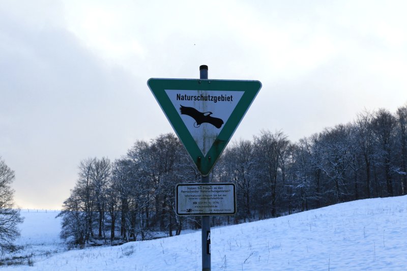 Schneppendahler Siepen