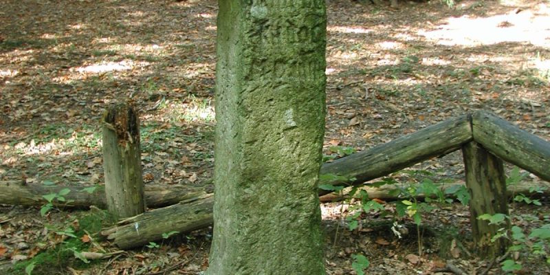 Steinernes Kreuz