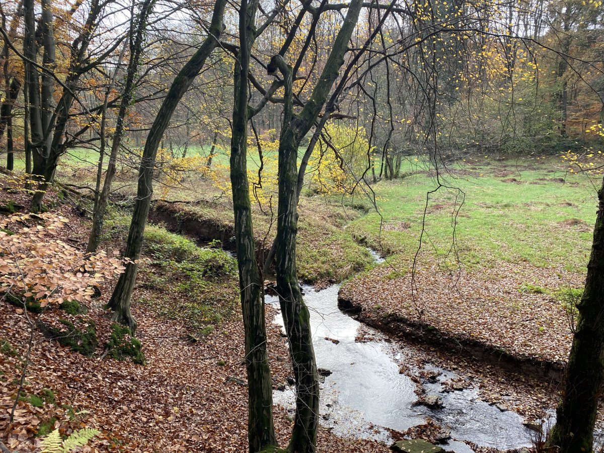 Töckelhauser Bach