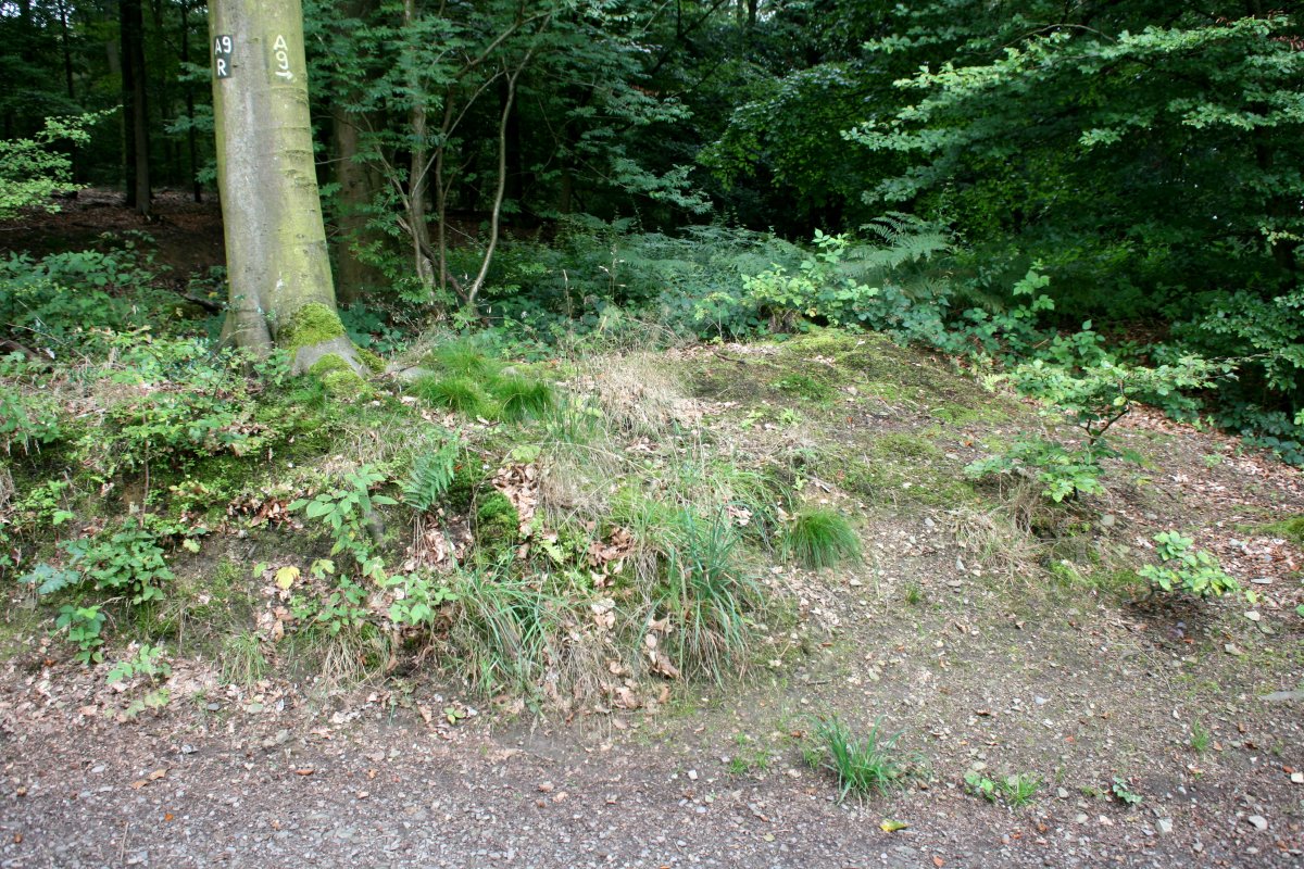 Wallanlage bei Müngsten