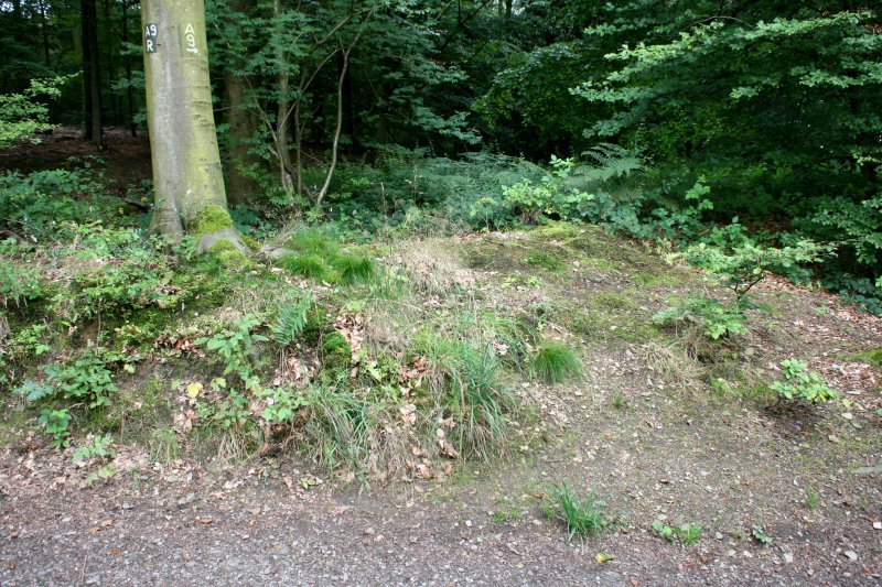 Wallanlage bei Müngsten