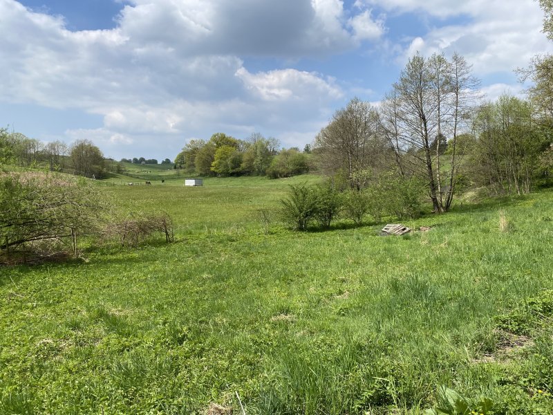 Wilhelmsthaler und Haller Bachtal