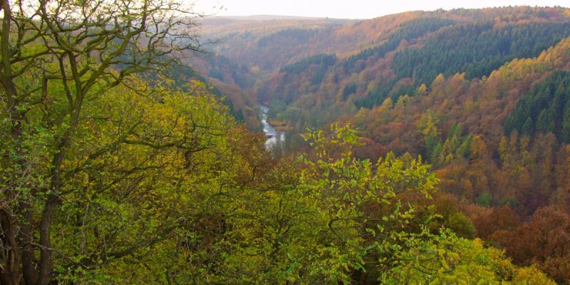 Wupper und Wupperhänge südlich Müngsten