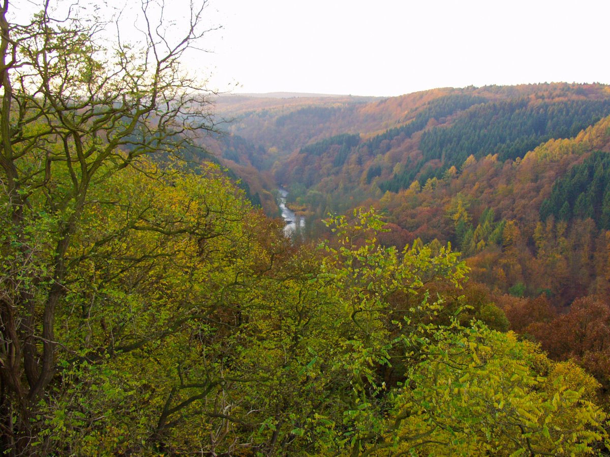 Wupper und Wupperhänge südlich Müngsten