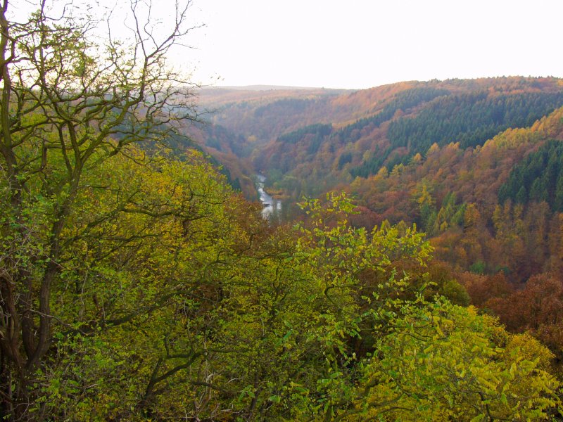 Wupper und Wupperhänge südlich Müngsten