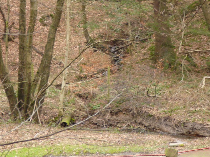 Zillertaler Siefen