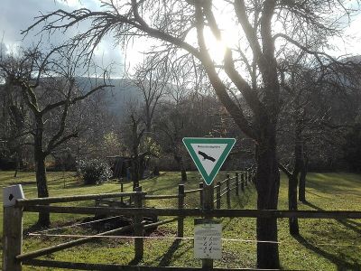 Echazaue