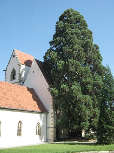 Marienkirche (Im Wiesaztal)