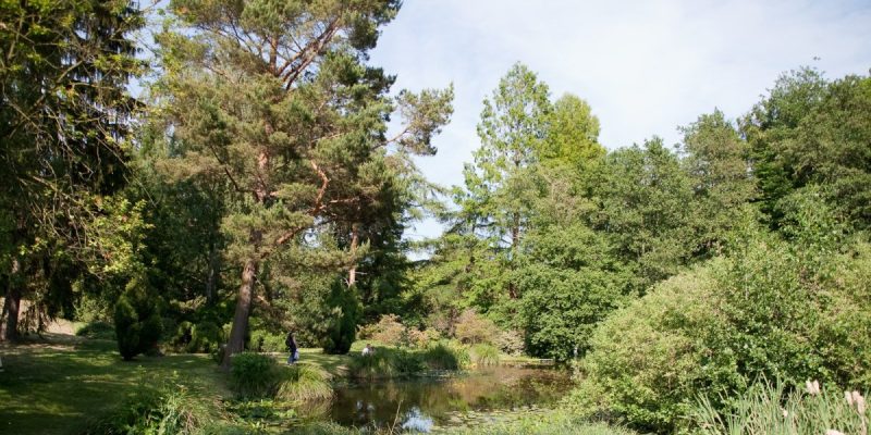 Botanischer Garten der Universität Rostock