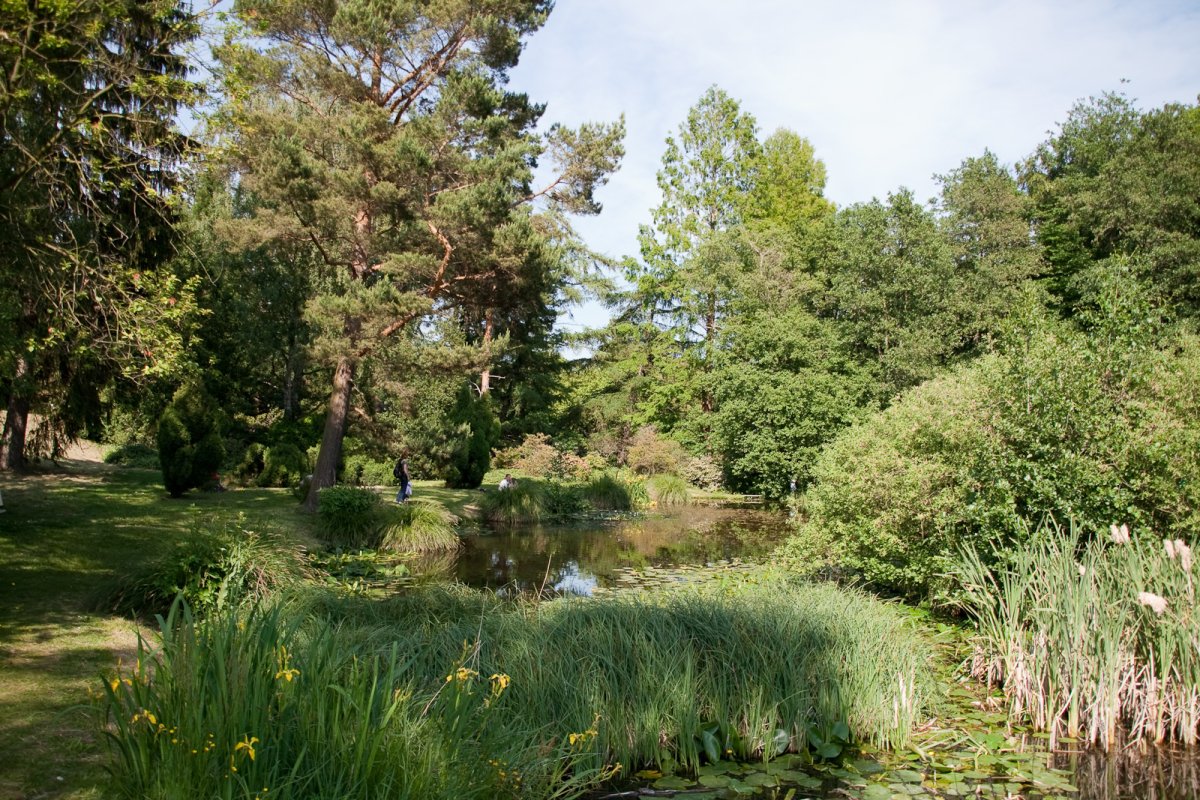 Botanischer Garten der Universität Rostock