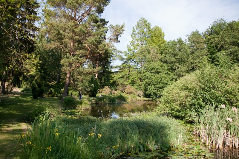 Botanischer Garten der Universität Rostock