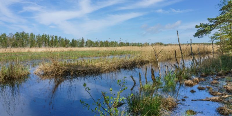 Heiligensee und Hütelmoor