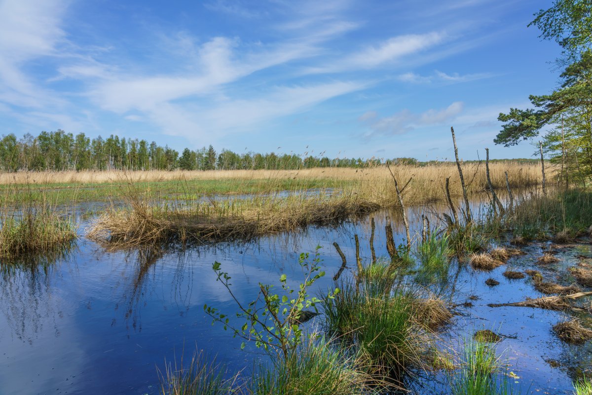 Heiligensee und Hütelmoor