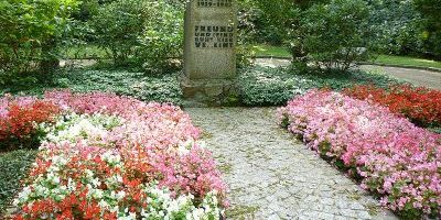 Neuer Friedhof