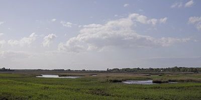 Radelsee