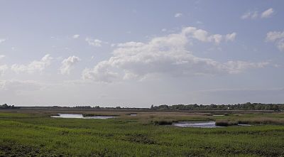 Radelsee