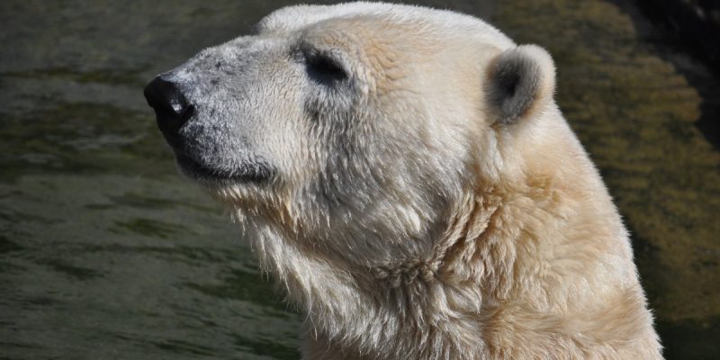 Zoologischer Garten Rostock