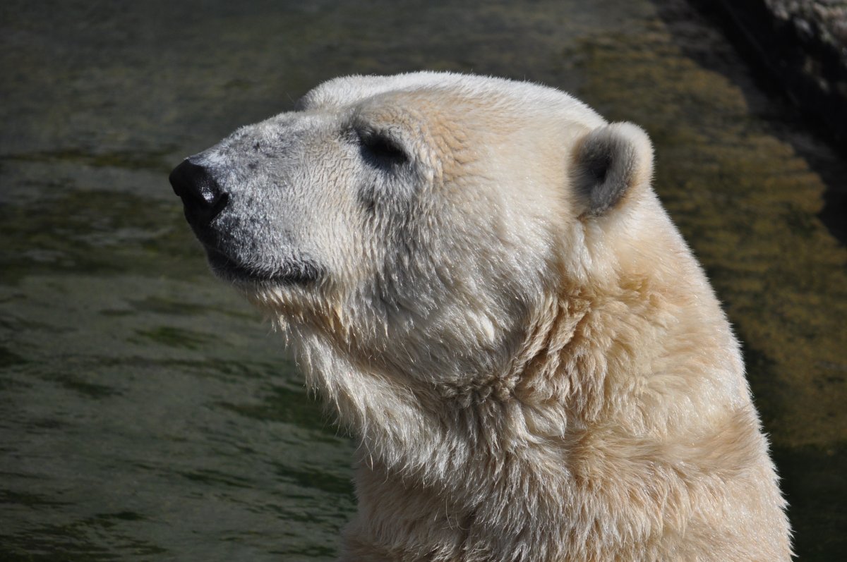 Zoologischer Garten Rostock