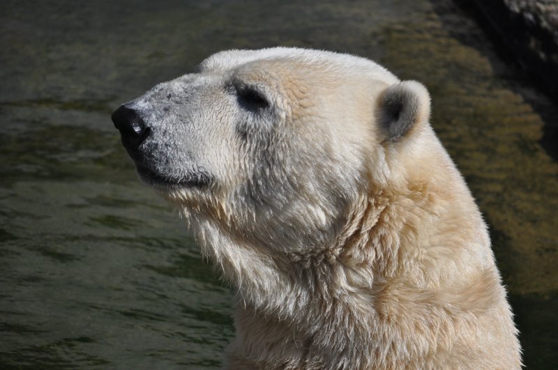 Zoologischer Garten Rostock