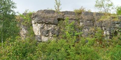 Birzberg, Honigsack/Kappelberghang