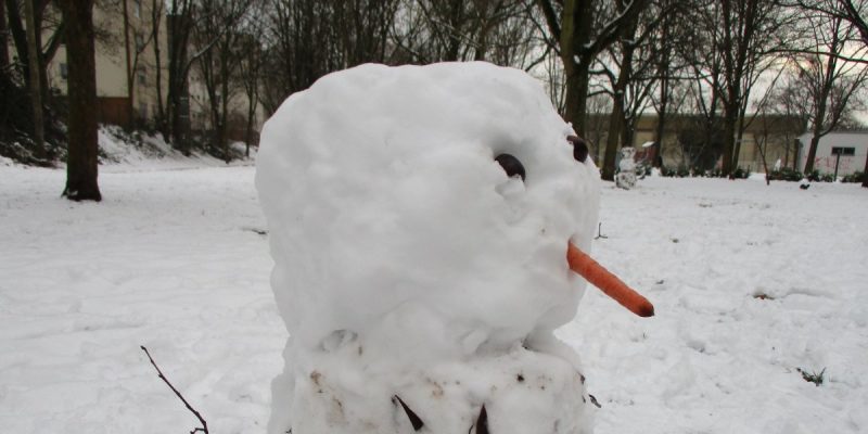 Bruchwiesenpark